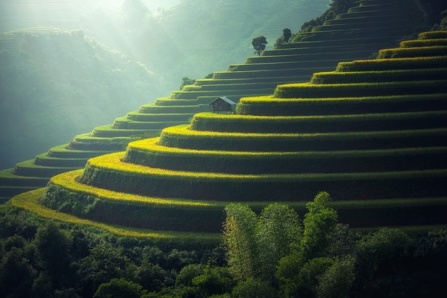 vietnamská krajina